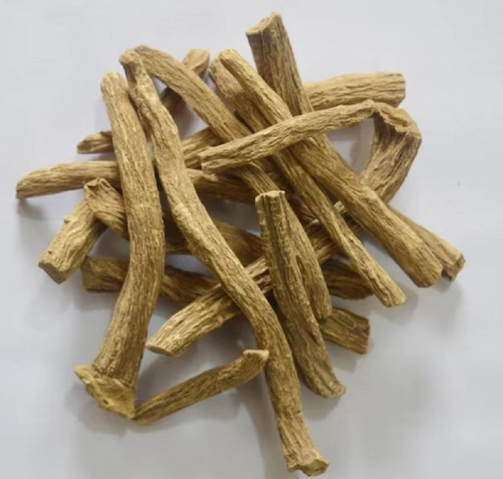 Pushkarmool Root (Inula racemosa) used in Infantol (Babies Tonic)